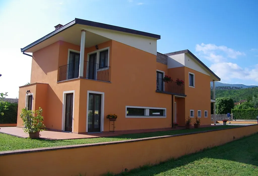 Triolivo B&B-1